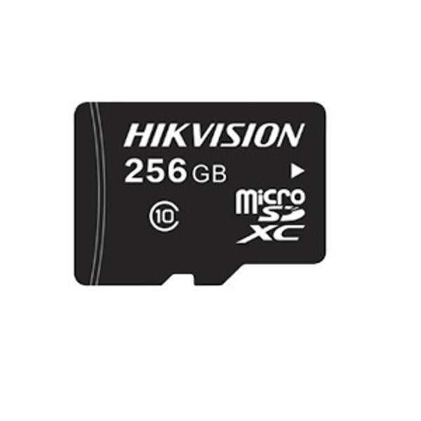 Hikvision L2 256GB HS-TF-L2