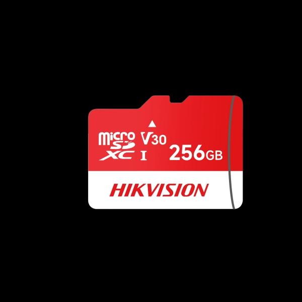   HS-TF-E1(DZ) 256G