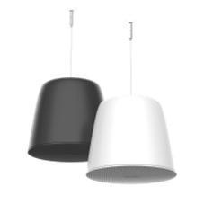 Hikvision Analog Pendant Speaker 30W DS-QAZ0530G1